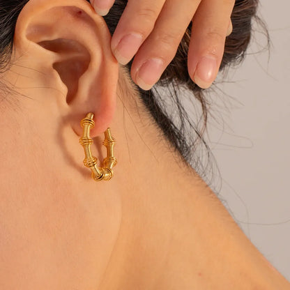 Trendsi 18K gold hoop earrings displayed on a model's ear with a stylish design